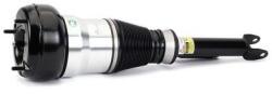 Arnott Brat arc pneumatic Arnott AS-3359 (AS-3359)
