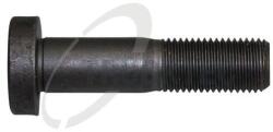 Trucktec Automotive Bolt roata TRUCKTEC AUTOMOTIVE 02.33. 019 (02.33.019)