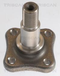 TRISCAN Butuc roata TRISCAN 8535 25007 (8535 25007)
