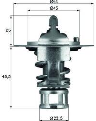 MAHLE Termostat, lichid racire MAHLE TX 65 82 (TX 65 82)