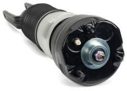 Arnott Brat arc pneumatic Arnott AS-3037 (AS-3037)