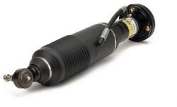 Arnott Brat arc pneumatic Arnott SK-2483 (SK-2483)
