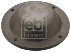 Febi Bilstein capac de protectie, butuc roata FEBI BILSTEIN 43768 (43768)