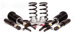 Arnott Set suspensie, arcuri elicoidale / amortizoare Arnott C-2663 (C-2663)