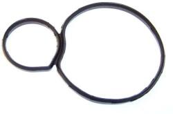 ELRING Garnituri, carcasa filtru ulei ELRING 691.920 (691.920)