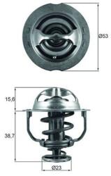 MAHLE Termostat, lichid racire MAHLE TX 200 90D (TX 200 90D)