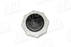 AIC Buson, vas expansiune AIC 55733 (55733)