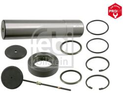 Febi Bilstein Set reparatie, pivot FEBI BILSTEIN 18954 (18954)