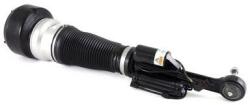 Arnott Brat arc pneumatic Arnott AS-2547 (AS-2547)