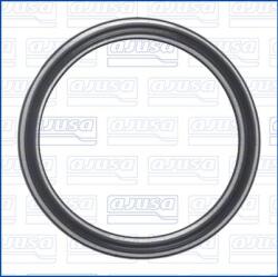 AJUSA Garnituri, carcasa filtru ulei AJUSA 01711800 (01711800)