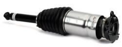 Arnott Brat arc pneumatic Arnott AS-3381 (AS-3381)