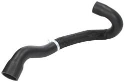 THERMOTEC Palnie, filtru de aer THERMOTEC DCC018TT (DCC018TT)