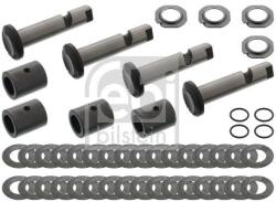 Febi Bilstein Set reparatie, pivot FEBI BILSTEIN 01155 (01155)