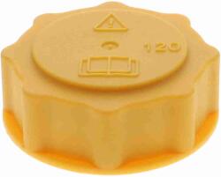 VAICO Buson, vas expansiune VAICO V25-0440 (V25-0440)