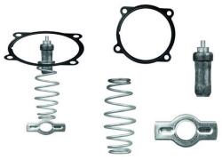 MAHLE Termostat, lichid racire MAHLE TX 51 79D (TX 51 79D)