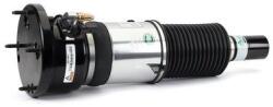 Arnott Brat arc pneumatic Arnott AS-3351 (AS-3351)