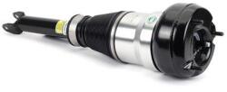 Arnott Brat arc pneumatic Arnott AS-3358 (AS-3358)