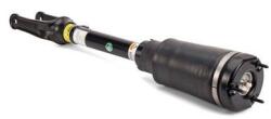Arnott Brat arc pneumatic Arnott AS-3005 (AS-3005)