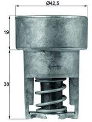 MAHLE Termostat, lichid racire MAHLE TX 98 82 (TX 98 82)