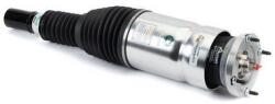 Arnott Brat arc pneumatic Arnott AS-3368 (AS-3368)