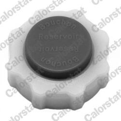 CALORSTAT by Vernet Buson, vas expansiune CALORSTAT by Vernet RC0030 (RC0030)