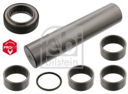 Febi Bilstein Set reparatie, pivot FEBI BILSTEIN 15901 (15901)