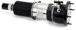Arnott Brat arc pneumatic Arnott AS-3123 (AS-3123)