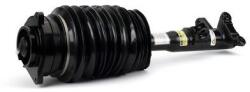 Arnott Brat arc pneumatic Arnott AS-3415 (AS-3415)