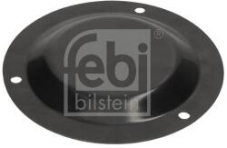 Febi Bilstein capac de protectie, butuc roata FEBI BILSTEIN 194676 (194676)