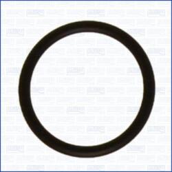 AJUSA Garnituri, carcasa filtru ulei AJUSA 16015300 (16015300)