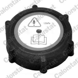 CALORSTAT by Vernet Buson, vas expansiune CALORSTAT by Vernet RC0009 (RC0009)