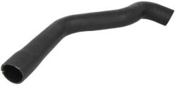 THERMOTEC Palnie, filtru de aer THERMOTEC DCP010TT (DCP010TT)