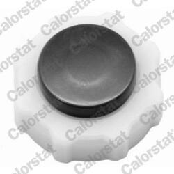 CALORSTAT by Vernet Buson, vas expansiune CALORSTAT by Vernet RC0017 (RC0017)