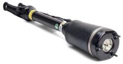 Arnott Brat arc pneumatic Arnott AS-2450 (AS-2450)