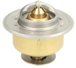 THERMOTEC Termostat, lichid racire THERMOTEC D2JD009TT (D2JD009TT)