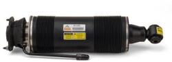 Arnott Brat arc pneumatic Arnott SK-2485 (SK-2485)