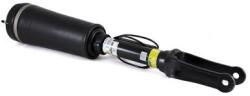Arnott Brat arc pneumatic Arnott AS-2394 (AS-2394)
