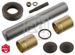 Febi Bilstein Set reparatie, pivot FEBI BILSTEIN 04295 (04295)