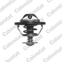 CALORSTAT by Vernet Termostat, lichid racire CALORSTAT by Vernet TH5353.83J (TH5353.83J)