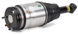 Arnott Brat arc pneumatic Arnott AS-2534 (AS-2534)
