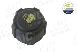 AIC Buson, vas expansiune AIC 55731 (55731)