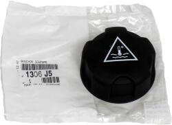 Original Psa Buson, vas expansiune ORIGINAL PSA 1692660080 (1692660080)
