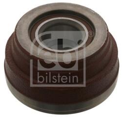 Febi Bilstein Butuc roata FEBI BILSTEIN 35591 (35591)