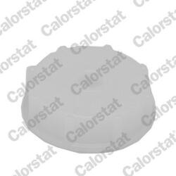 CALORSTAT by Vernet Buson, vas expansiune CALORSTAT by Vernet RC0174 (RC0174)