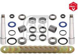 Febi Bilstein Set reparatie, pivot FEBI BILSTEIN 29720 (29720)
