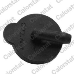 CALORSTAT by Vernet Buson, vas expansiune CALORSTAT by Vernet RC0205 (RC0205)