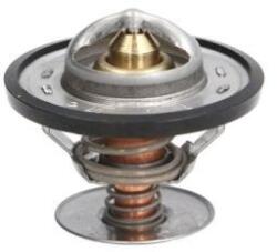 THERMOTEC Termostat, lichid racire THERMOTEC D2G001TT (D2G001TT)