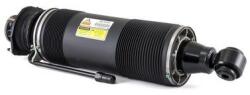 Arnott Brat arc pneumatic Arnott SK-2415 (SK-2415)