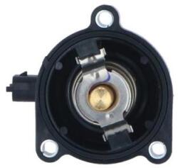 NRF Termostat, lichid racire NRF 725024 (725024)