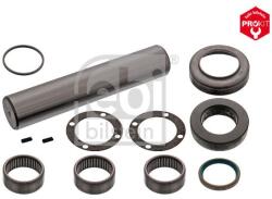 Febi Bilstein Set reparatie, pivot FEBI BILSTEIN 19174 (19174)